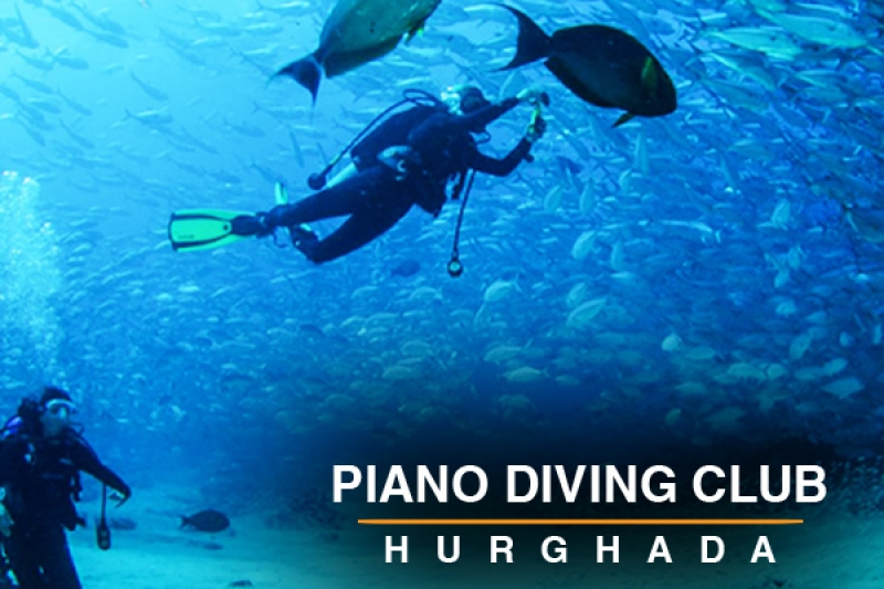 piano diving club