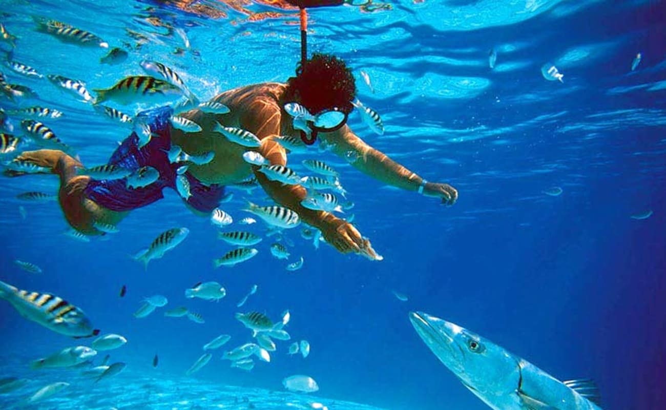 Ras Mohamed Snorkeling Trip and Day Tour by Boat