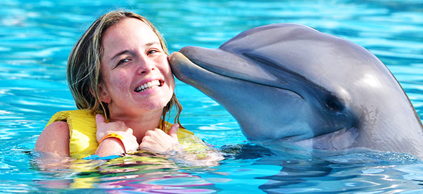 Swimming with Dolphins in Sharm El-Sheikh