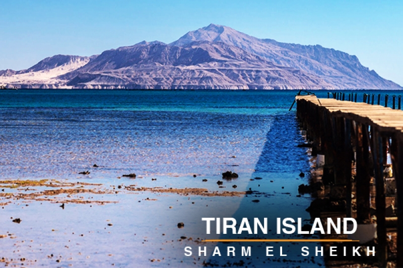 Tiran