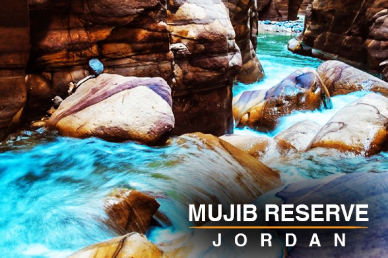 mujib