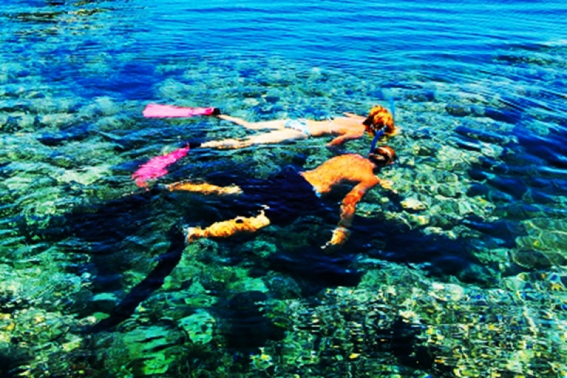 Ras Mohamed Red Sea Cruise and Snorkeling by Boat