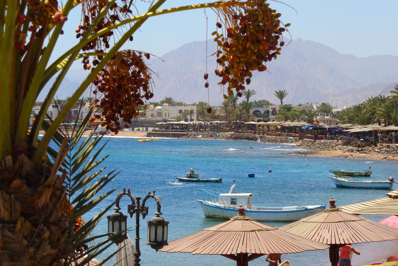 Sunset or Sunrise Horseback Riding in Dahab Desert or Lagoon Beach