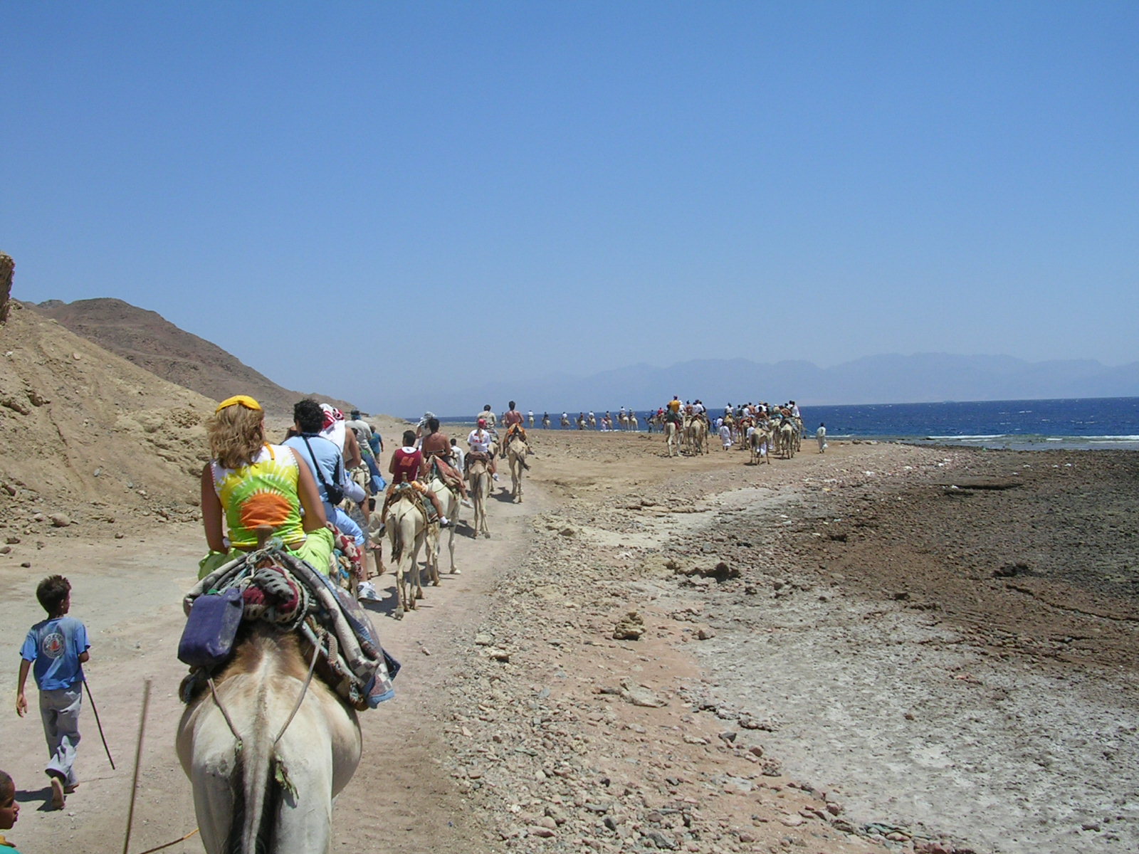 Blue Hole and Ras Abu Galum Snorkeling One Day Trip by Camel