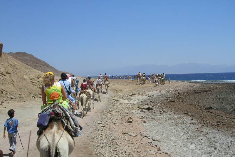 Blue Hole and Ras Abu Galum Snorkeling One Day Trip by Camel