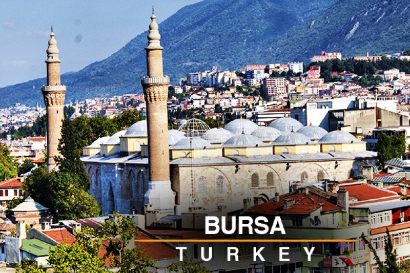 bursa