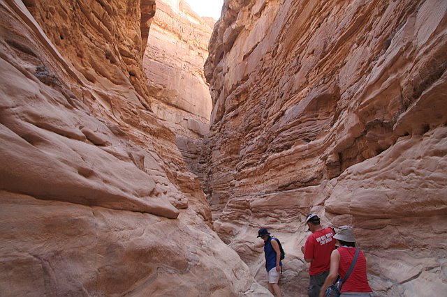 Full Day Tour to White Canyon, Ain Khodra Oasis, Closed Canyon from Dahab by Camel