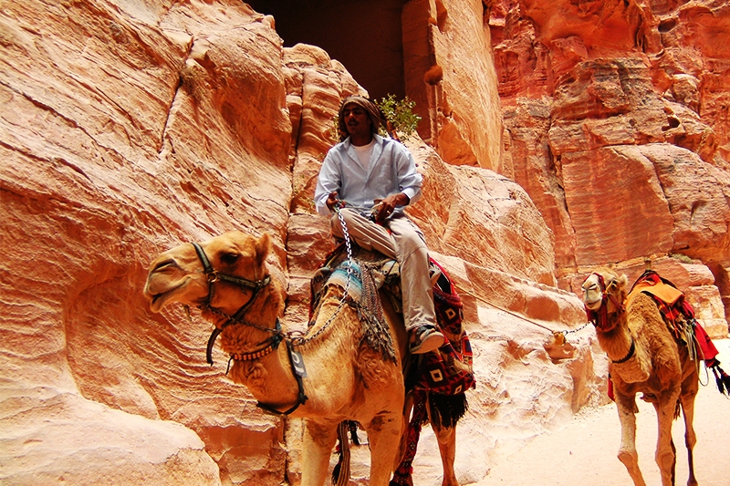 Jordan Excursions and Day Tours