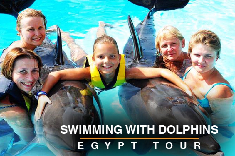 swimming with dolphins