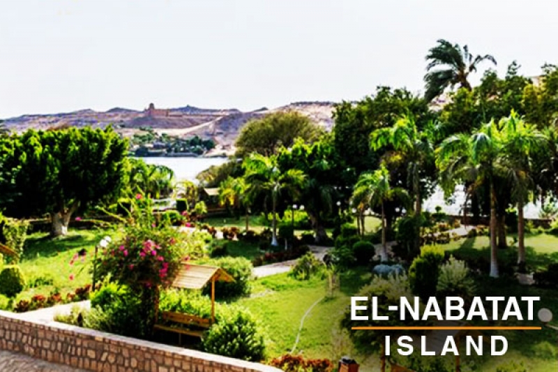 El nabatat island