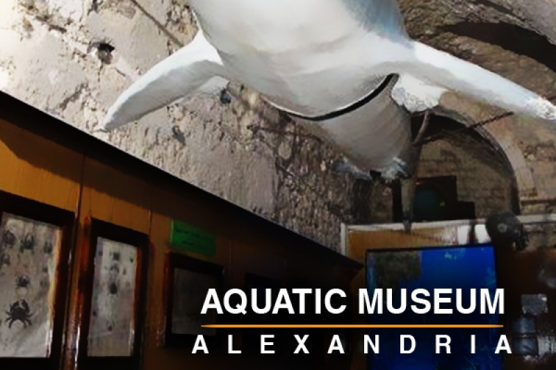 Aquatic Museum