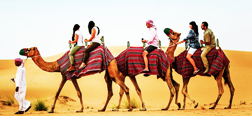 Bedouin Dinner and Star Gazing by Camel Ride from Sharm El Sheikh