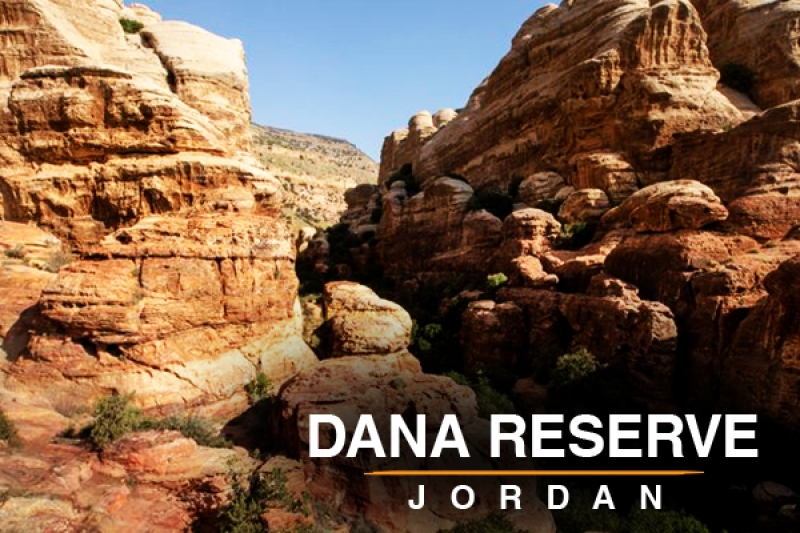 dana reserve