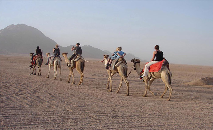 Safari Trip to Abu Galum and Blue Hole of Sinai