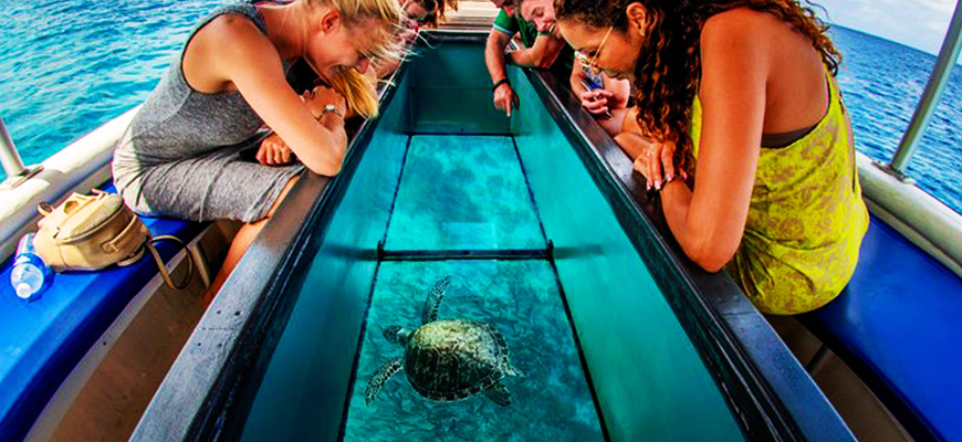 Glass Bottom Trip Excursion in Sharm El-Sheikh