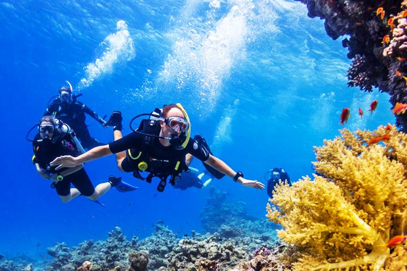 Dahab Excursions