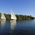 Nile Felucca