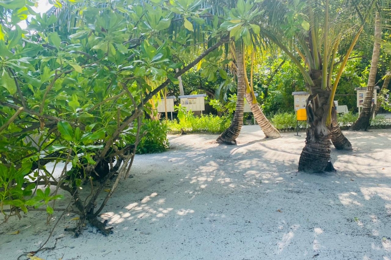 Maldive 5 Star