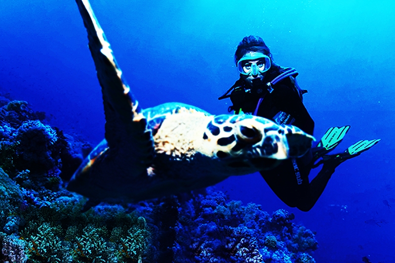 Egypt Excursion Tours