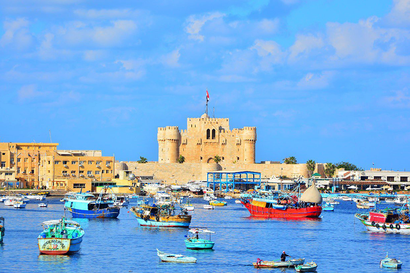 Alexandria Excursions