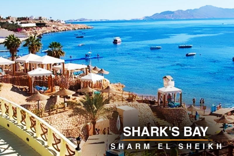 Shark's bay