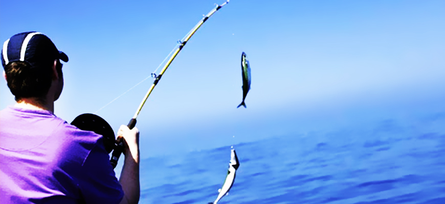 Private Fishing Tour in Hurghada by Boat