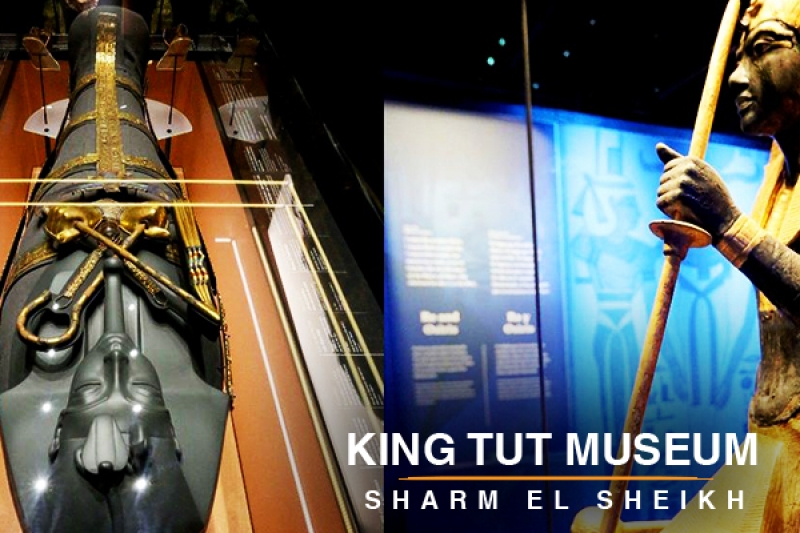 king tut museum
